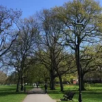 Where Can Tourists Experience Nature in Lambeth? Parks, Gardens, Walks