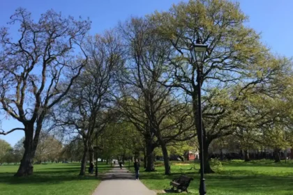 Where Can Tourists Experience Nature in Lambeth? Parks, Gardens, Walks