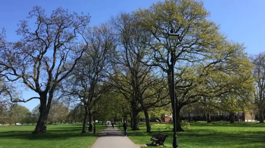 Where Can Tourists Experience Nature in Lambeth? Parks, Gardens, Walks