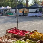Where Can Visitors Shop Local in Lewisham? Markets and Independent