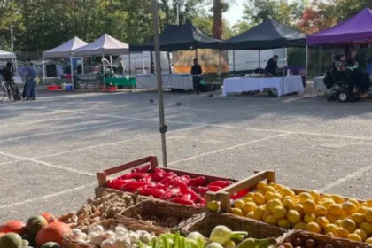 Where Can Visitors Shop Local in Lewisham? Markets and Independent