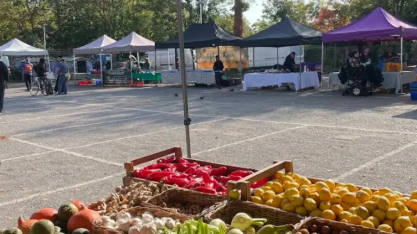 Where Can Visitors Shop Local in Lewisham? Markets and Independent