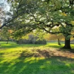 Where Families Can Spend Quality Time in Lewisham