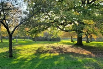 Where Families Can Spend Quality Time in Lewisham
