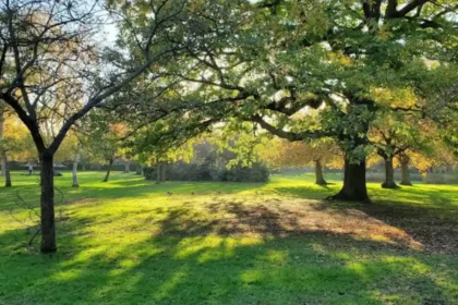 Where Families Can Spend Quality Time in Lewisham
