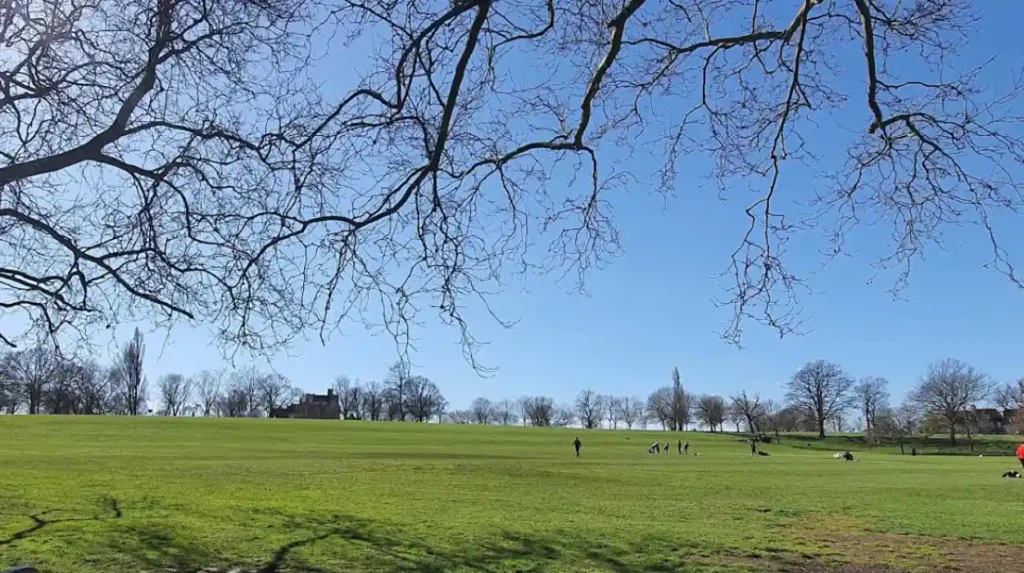 Which outdoor sites in Lewisham are best to visit in spring?