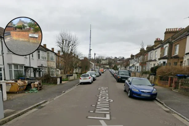Young Man Killed in Thornton Heath Group Clash 2026