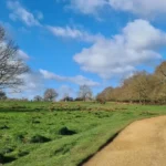Deer Feeding Warning Issued in Richmond Park, 2026