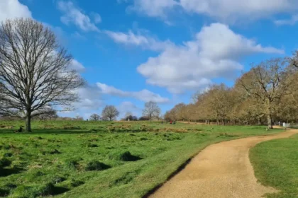 Deer Feeding Warning Issued in Richmond Park, 2026