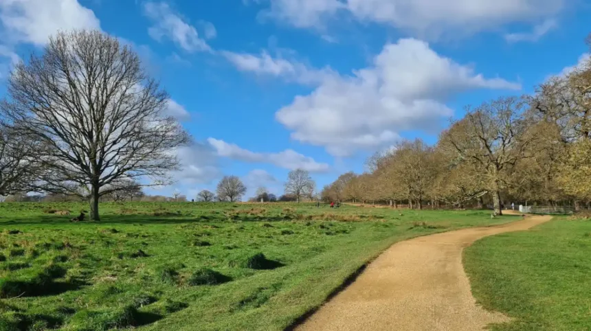Deer Feeding Warning Issued in Richmond Park, 2026