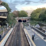 Denmark Hill Station Wine: UK First Vineyard in Camberwell 2026