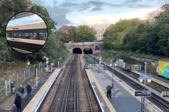 Denmark Hill Station Wine: UK First Vineyard in Camberwell 2026