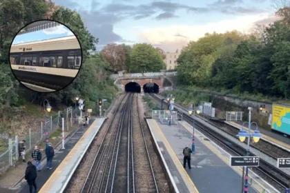 Denmark Hill Station Wine: UK First Vineyard in Camberwell 2026