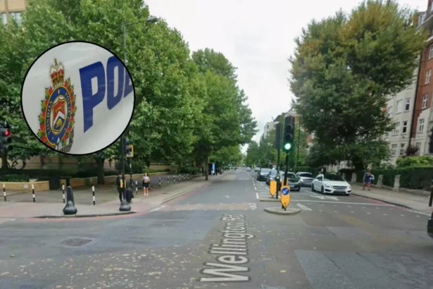 Elderly Woman Stabbed in Violent Break-In, South London 2026