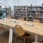 Lambeth Libraries Launch Summer Reading Challenge & Time Capsule Lambeth 2026
