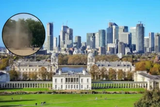 Mini-Tornado Sweeps Greenwich Park During Warm Spell: Greenwich 2026