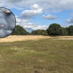 Mitcham Wildfires: Smoke Engulfs South London Grassland Twice in 2026