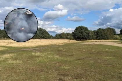 Mitcham Wildfires: Smoke Engulfs South London Grassland Twice in 2026