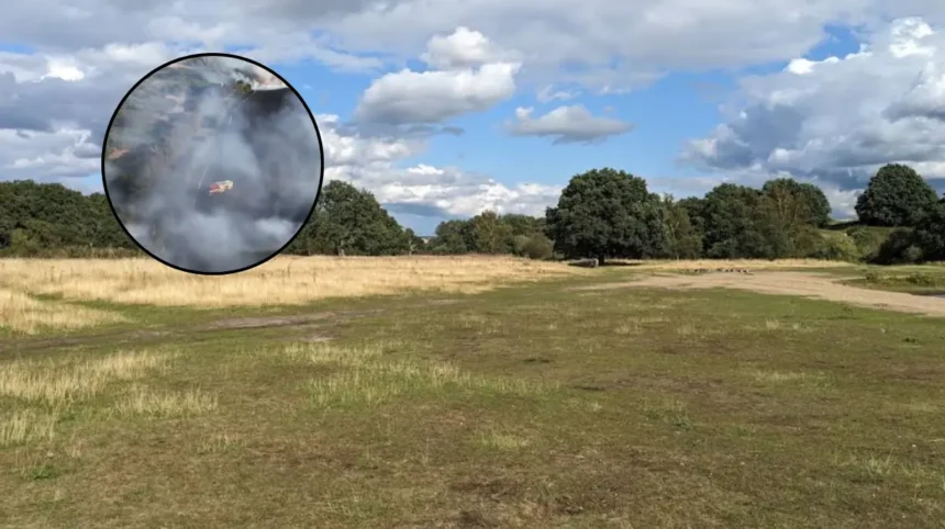 Mitcham Wildfires: Smoke Engulfs South London Grassland Twice in 2026
