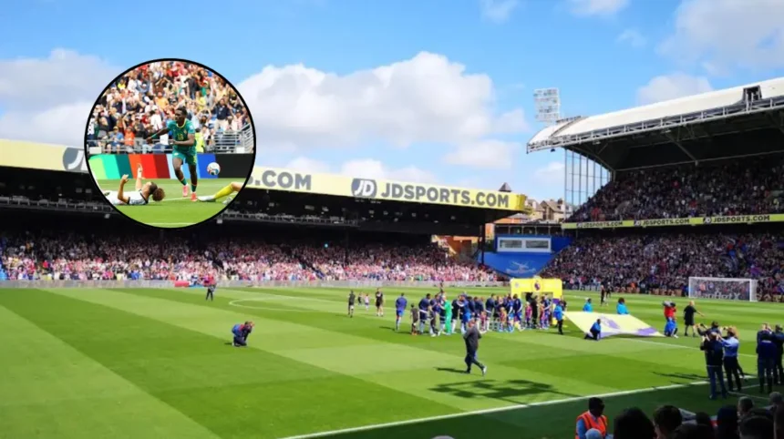 Two Crystal Palace Stars Named In Premier League Top 50 South London 2026