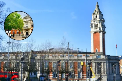 UCL Academic Warns Lambeth Council Against Library Leadership Restructure, Lambeth 2026