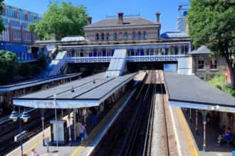 UK First Railway Station Vineyard Unveiled at Denmark Hill 2026