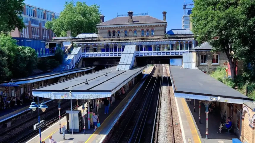 UK First Railway Station Vineyard Unveiled at Denmark Hill 2026