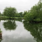 Best Birdwatching Spots in Lambeth_ Parks, Wildlife and Nature