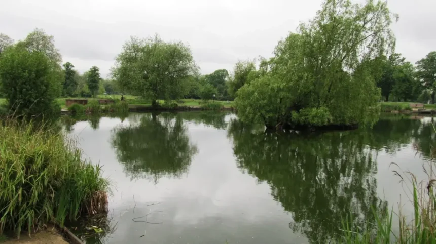 Best Birdwatching Spots in Lambeth_ Parks, Wildlife and Nature