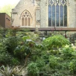 Best Botanical Experiences in Lambeth Gardens, Plants and Parks