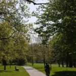 Best Things to Do Around Norwood, Lambeth 2026