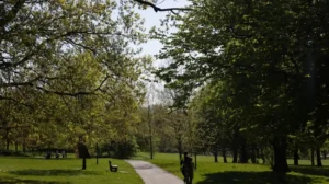 Best Things to Do Around Norwood, Lambeth 2026