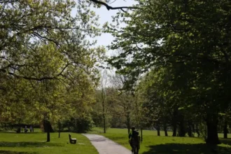 Best Things to Do Around Norwood, Lambeth 2026
