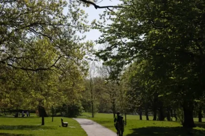 Best Things to Do Around Norwood, Lambeth 2026