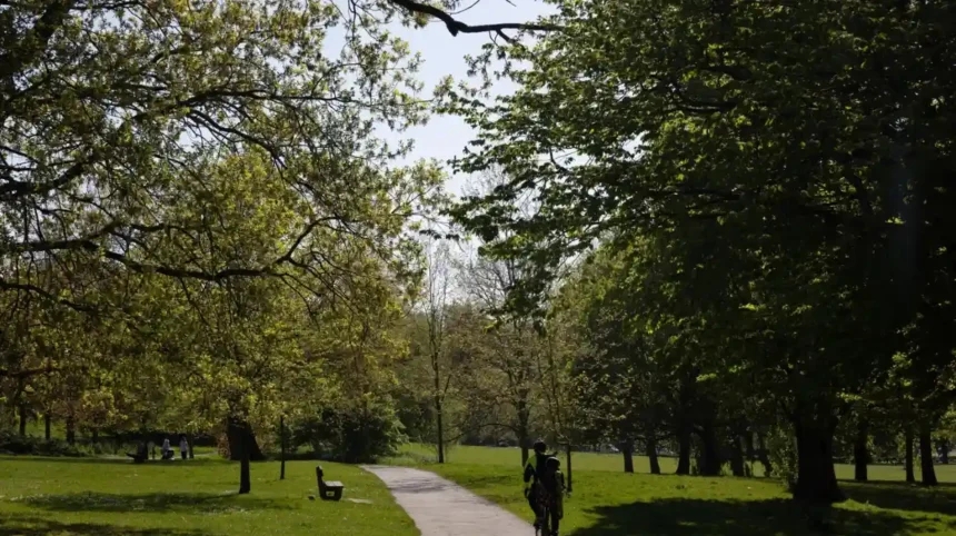 Best Things to Do Around Norwood, Lambeth 2026