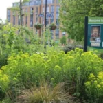Best Things to Do Around Vauxhall in Lambeth