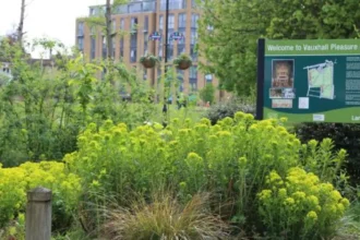 Best Things to Do Around Vauxhall in Lambeth