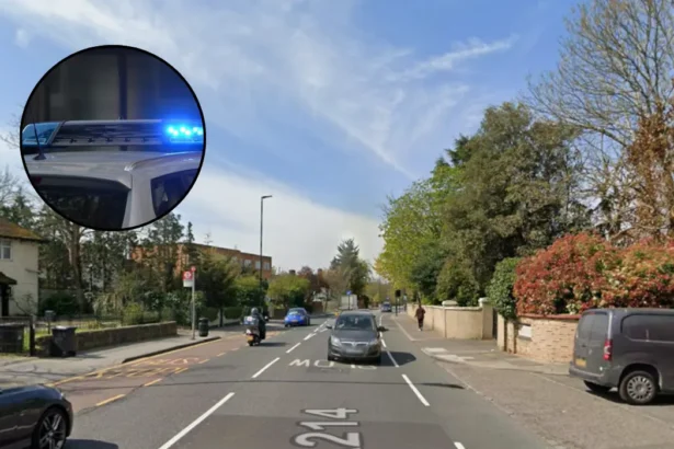 Beulah Hill Supermarket Stabbing: Police Hunt Suspect in West Norwood 2026