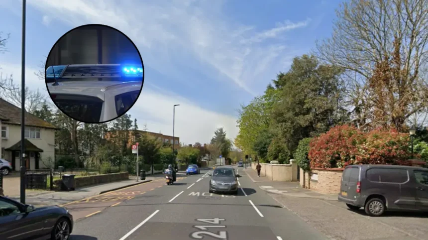 Beulah Hill Supermarket Stabbing: Police Hunt Suspect in West Norwood 2026