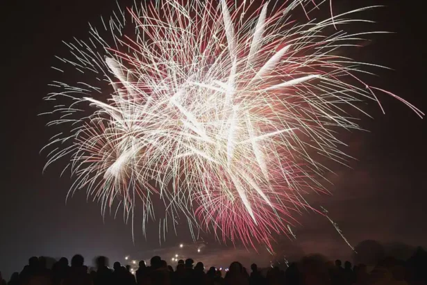 Blackheath Fireworks Bonfire Night Tickets Released for Blackheath 2026