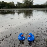 Burst Molesey Main Disrupts Surrey and London Water Supplies 2026