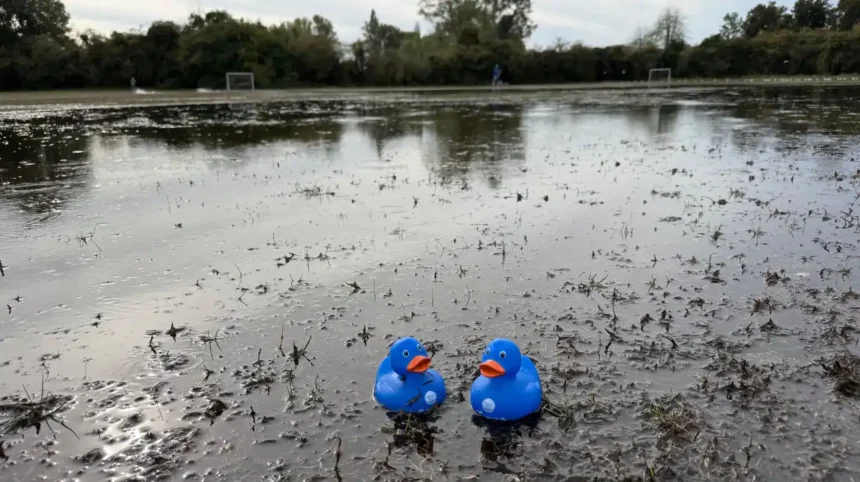 Burst Molesey Main Disrupts Surrey and London Water Supplies 2026