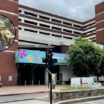 Lewisham Shopping Centre Redevelopment Petition Debated by Council: Lewisham 2026