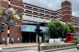 Lewisham Shopping Centre Redevelopment Petition Debated by Council: Lewisham 2026