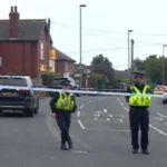 Pedestrian Killed in Fatal Van Collision in West Norwood 2026