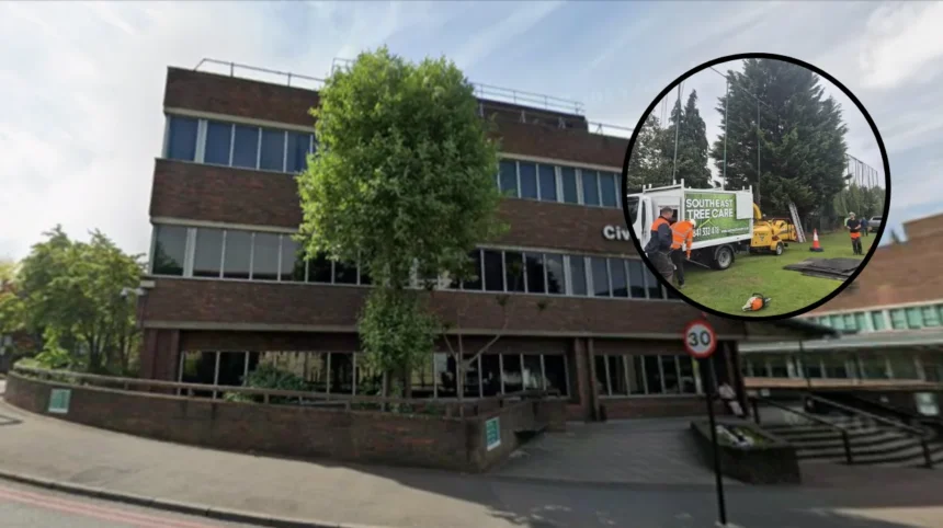 Southeast Tree Care Inquiry Wallington 2026