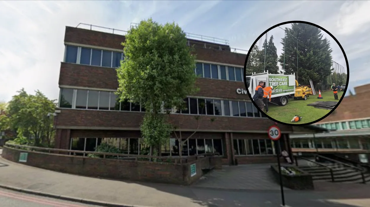 Southeast Tree Care Inquiry Wallington 2026