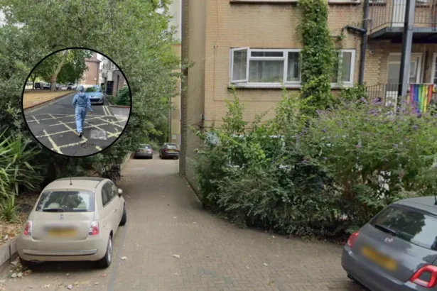 Thomas Carey Found Dead in Clapham Flat Murder Investigation 2026