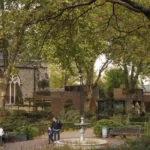 Where to Take a Break During Lambeth Sightseeing