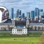 £290m EV Charging Concessions Awarded in South-East London 2026